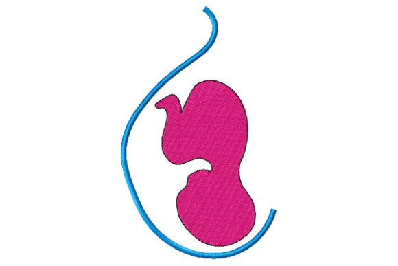 Pregnancy Embroidery Design Review